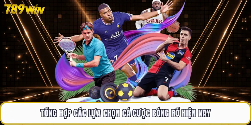 Tổng hợp các lựa chọn cá cược bóng rổ hiện nay